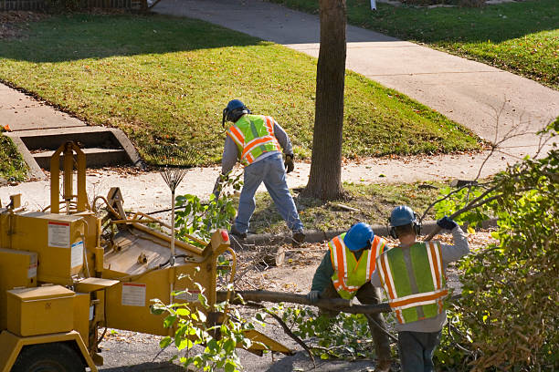 Best Lawn Irrigation Installation and Maintenance  in Ridge Manor, FL